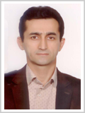  سیدمصطفی حسینی